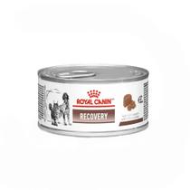 Ração Úmida Royal Canin Recovery Cães e Gatos 195 g Ração Úmida Royal Canin Recovery Cães e Gatos 195 g