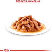 Ração Úmida Royal Canin Urinary S/O para Gatos Adultos com Cálculos Urinários 85g