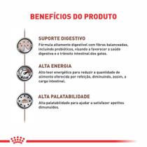 Ração Úmida Veterinary Diet Gastrointestinal Gatos com Doenças Intestinais Royal Canin Sachê 85G Ração Úmida Veterinary Diet Gastrointestinal Gatos com Doenças Intestinais Royal Canin Sachê 85G