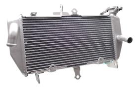 Radiador De Agua Yamaha Mt03 2017 Em Diante Modelo Original