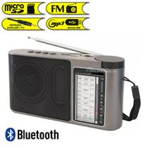 Rádio Portátil 3 Faixas Com Bluetooth Bateria Recarregáve lntrada Pendrive LE661CI - Lelong