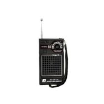 Rádio Portátil Rm-psmp32 Preto Motobras