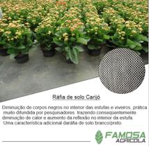Rafia de solo carijó contra ervas daninhas 4,20x50