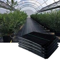 Rafia Tecido Agrícola para controle de plantas daninhas 4,20 x 25 Mts 90 Gr Rafia Tecido Agrícola para controle de plantas daninhas 4,20 x 25 Mts 90 Gr