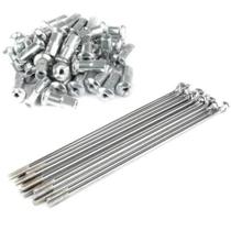 Raio de Roda 4mm Pop 100 e 110 01 Jogo