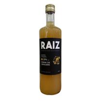 Raiz Bebida Com Extrato Natural de Gengibre 700ml