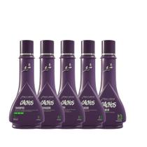 Raiz latina - KIT CACHOS HOME CARE - 250ML