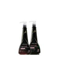 Raiz Latina Kit Regenerador Pós Quimica 2x1L