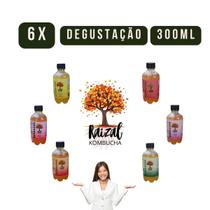 Raizal Kombuchas ZERO AÇUCAR Combo 06 x 300 ml Sortidas