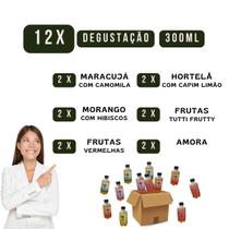 Raizal Kombuchas ZERO AÇUCAR Combo 12 x 300 ml Sortidas Raizal Kombuchas ZERO AÇUCAR Combo 12 x 300 ml Sortidas