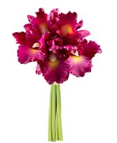 Ramalhete Cymbidium Magenta Silicone - 25cm