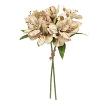 Ramalhete De Astromélia