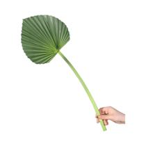 Ramo De Planta Artificial Folha De Palmeira Verde De 23 Polegadas Para Decoração De Casa, Arranjo De