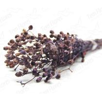 Ramo Roxo Flor Desidratada Buque Flores Secas