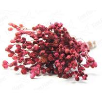 Ramo Roxo Rosa Flor Desidratada Buque Flores Secas