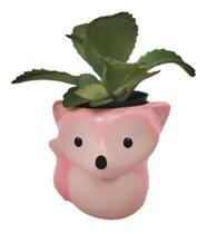 RAPOSA SUCULENTA Vasinho de Ceramica cor Rosa Bebe