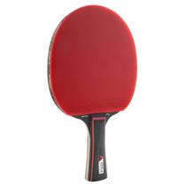 Raquete de Tênis de Mesa Joola Match Pro