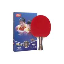 Raquete Para Ping Pong 3002 Dhs R170450 2 - Vila Brasil