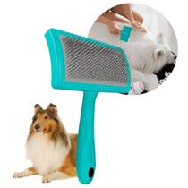 Rasqueadeira Curva Média Com Bolinhas Propetz