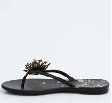 Rasteirinha Feminina Estampada Ivete Sangalo Grendha