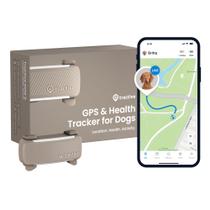 Rastreador GPS para Cachorros Tractive 2025 - Lançamento com Localização em Tempo Real