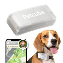 Rastreador GPS Petcube para cães com alertas de fuga e cercas virtuais