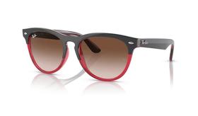 Ray ban iris rb4471 6631/13 54