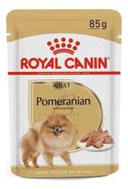 Rc sache pomeranian 85g