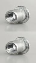 Rebite Rosca Interna 5/16" Porca Rebite 100 Peças Rebite Rosca Interna 5/16" Porca Rebite 100 Peças