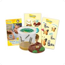 Recarga Cup of Caterpillars Insect Lore para Butterfly Garden