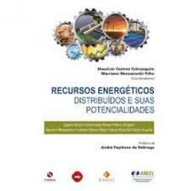 Recursos Energéticos Distribuídos e Suas Potencialidades