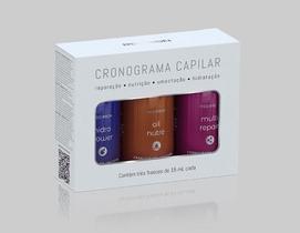Red Iron Kit Cronograma Capilar Profissional Para Cabelo 3 Ampolas de 15ml - Hidratação Nutrição Reconstrução