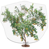 Rede para árvores frutíferas PURPLE STAR 1N Insect Bird Barrier 2,5x2m Rede para árvores frutíferas PURPLE STAR 1N Insect Bird Barrier 2,5x2m