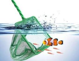 Rede redinha fish net para aquarios 8'' 20x15x35 cm fn-8