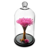 Redoma com Flores Secas Rosa Forte Decor Home Cúpula 30cm Bs