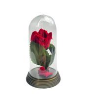 Redoma Cúpula A Rosa Encantada A Bela E A Fera / Pequeno Príncipe Base Ouro P Rosa Pink