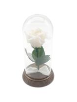 Redoma Cúpula A Rosa Encantada A Bela E A Fera / Pequeno Príncipe Base Ouro P Rosa Vermelha Redoma Cúpula A Rosa Encantada A Bela E A Fera / Pequeno Príncipe Base Ouro P Rosa Vermelha