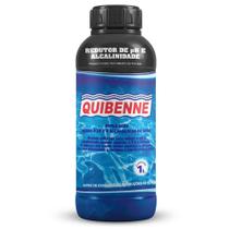 Redutor Ph e Alcalinidade Piscina 1l Quibenne