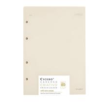 Refil Caderno Argolado Cicero Polen 80g 17x24 sem Pauta 40 Folhas