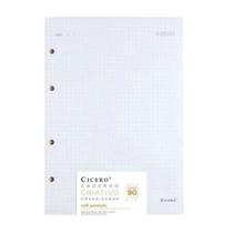 Refil Caderno Criativo Pontado 40F Offset90G 17X24 Cícero