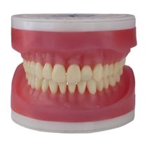 Refil de Dentistica para Manequim Articulado AC 103 Pronew Refil de Dentistica para Manequim Articulado AC 103 Pronew