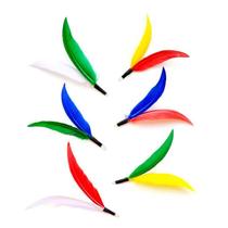 Refil Iscas para Brinquedos de Gato - 6 Unidades