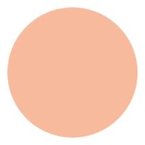 Refil Protetor Solar Compacto UV Light Beige Shiseido 12g