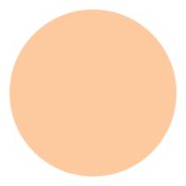 Refil Protetor Solar Compacto UV Light Ivory Shiseido 12g