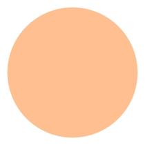 Refil Protetor Solar Compacto UV Light Ochre Shiseido 12g