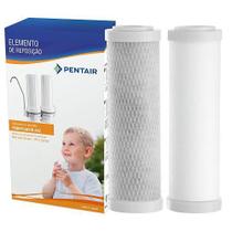 Refis AS2 Carbon/Polipropileno 928-0003 Pentair Hidro Filtros