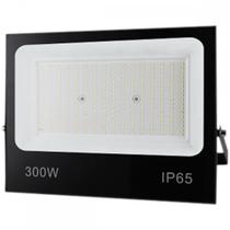 Reflet.C/Led Economax 300W Ip65 6500K