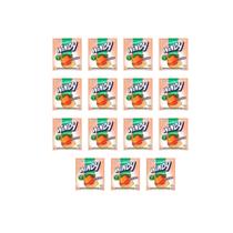 Refresco Em Pó Windy Pessego Suco C/ 15 Unidades