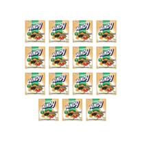 Refresco Em Pó Windy Sala de Frutas Suco C/ 15 Unidades