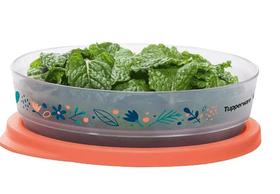 Refri Line Redondo Floral Fresh 200ml Tupperware